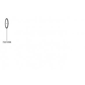 Eheim o-ring (7221058)