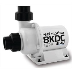 Blau reef motion 8 KDC