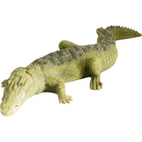 Krokodille