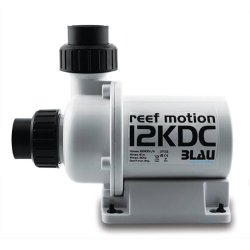 Blau reef motion 12 KDC