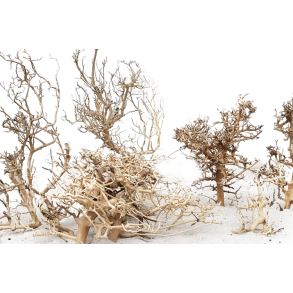 Canopy tree Aquascaping rod M pris fra.