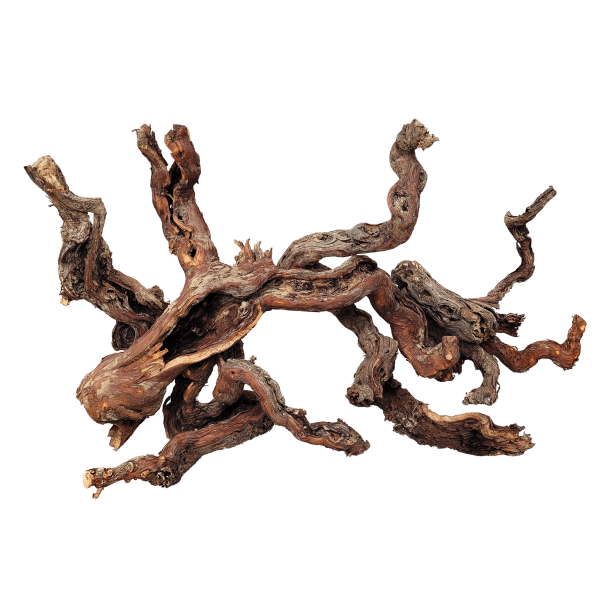 Centurion wood Pris fra.