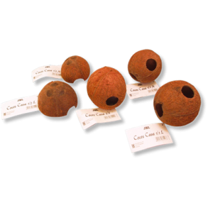 Hel kokos skal med huller