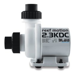 Blau reef motion 2,3 KDC