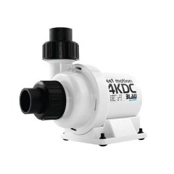 Blau reef motion 4 KDC