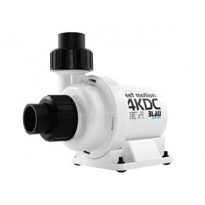 Blau reef motion 4 KDC