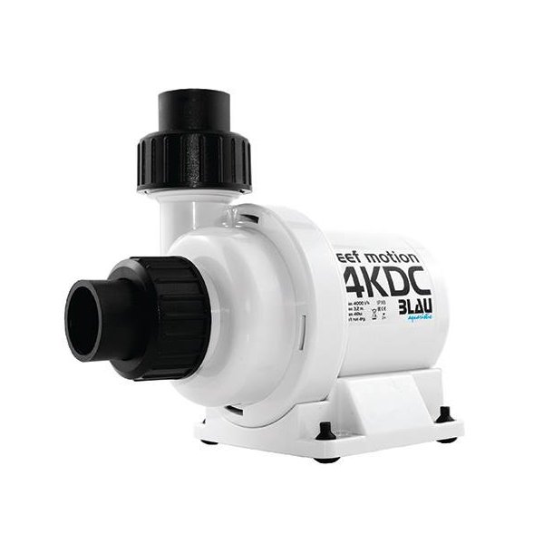 Blau reef motion 4 KDC
