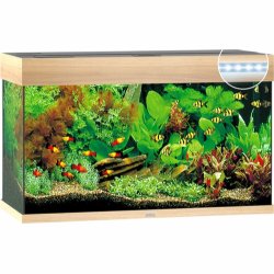 Juwel rio 125 bg Bestillingsvare