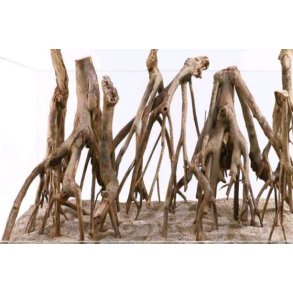 Talawa r�dder pris fra.