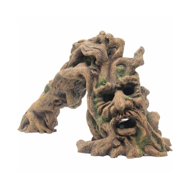 Tr monster