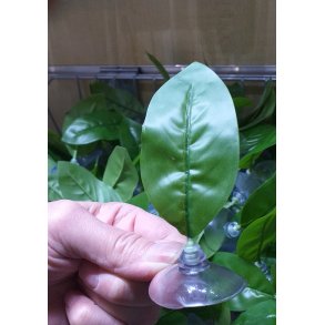 Betta blad inkl. sugekop