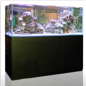 Blau Gran Cubic Experience Akvarie 230 liter