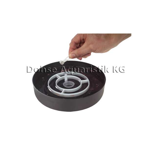 Hobby Artemia klkkeskl