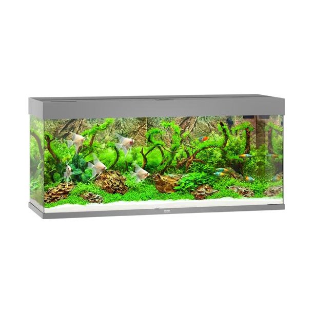 Juwel rio 240 gr Bestillingsvare