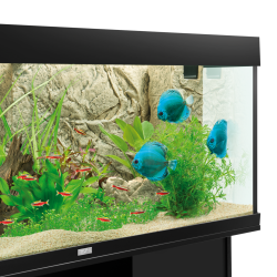 Juwel Cliff Light baggrund