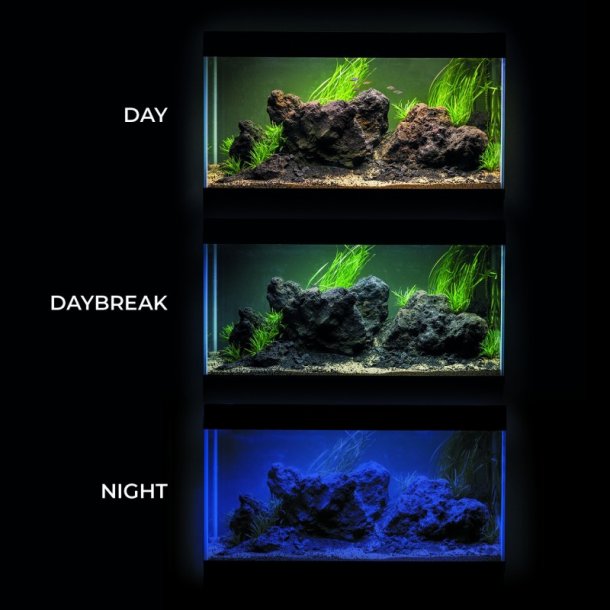 Leddy Day and Night 7 watt