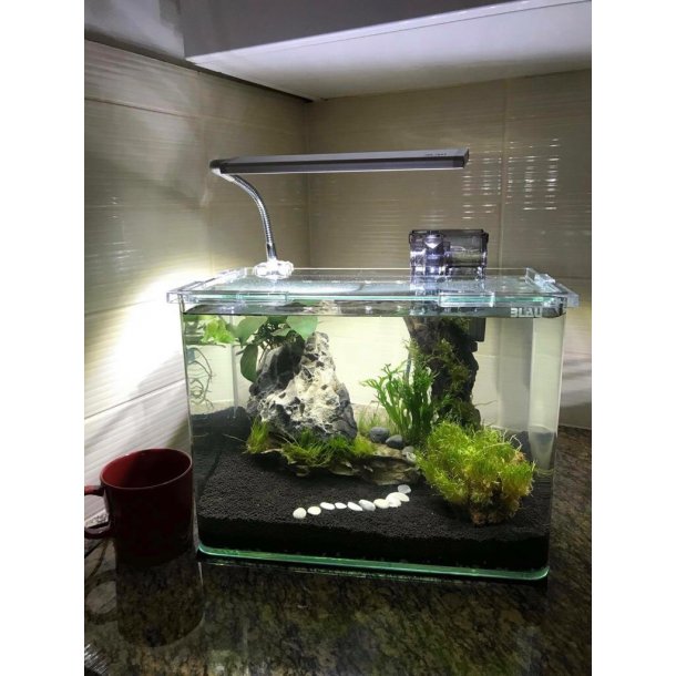 Blau Pico Lumina 11 RGB+W