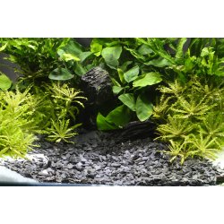 Dennerle Baikal 3-8 mm