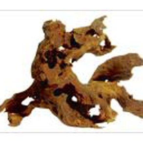 Savanah r�dder Pris fra.