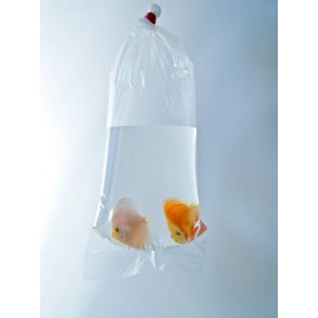 Fisketransport pose 160x450x0,06 mm / 100 stk