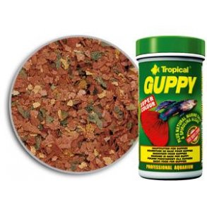 Tropical guppy 250 ml