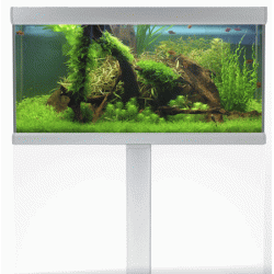 Akvastabil Fusion 250 liter akvariebord