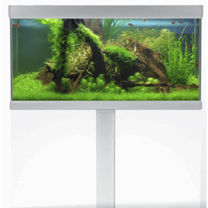 Akvastabil Fusion 250 liter akvariebord