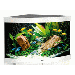 Juwel trigon 190 hvid Bestillingsvare