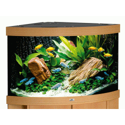 Juwel trigon 350 bg Bestillingsvare