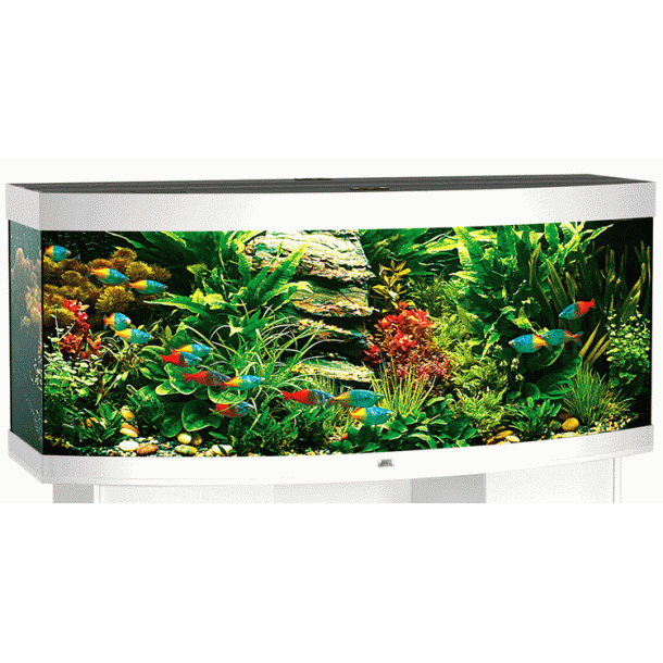 Juwel vision 450 hvid Bestillingsvare