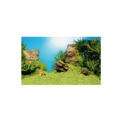 Juwel Poster 1 X-Large