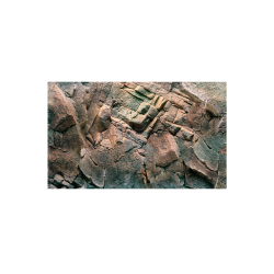 Juwel Poster 1 X-Large