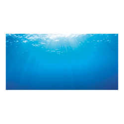 Juwel Poster 2 X-Large