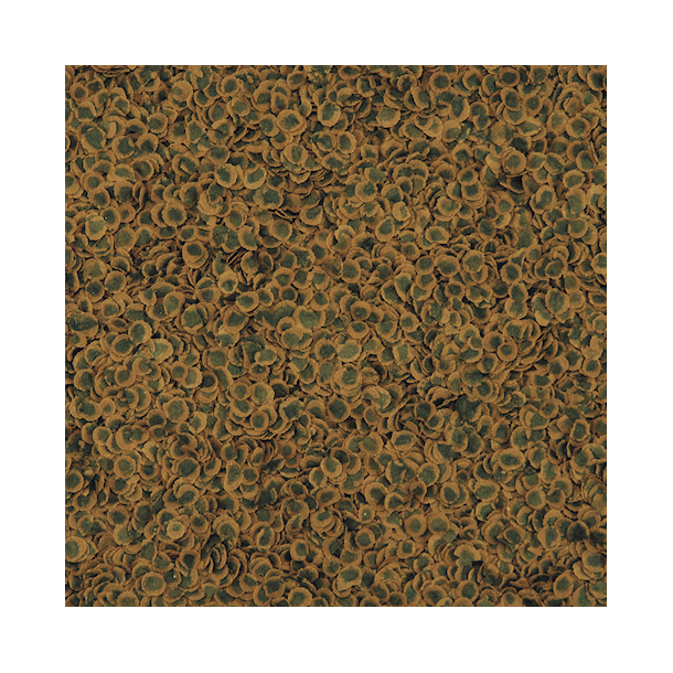 TetraPro Algae Crisps 10 Liter