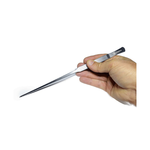 Tropica plantepincet